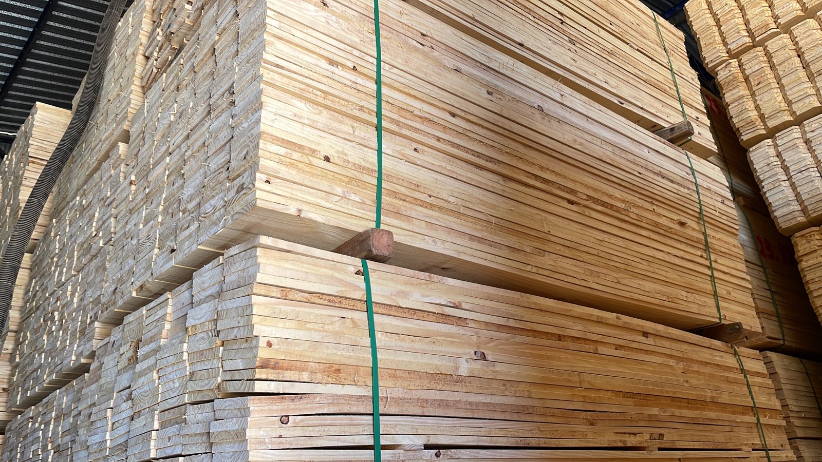 18mm PRIMEIRA 01.jpg